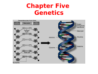 Summary of genetics f4.pptx